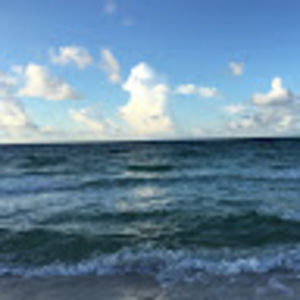 Meet your Posher, Delaney